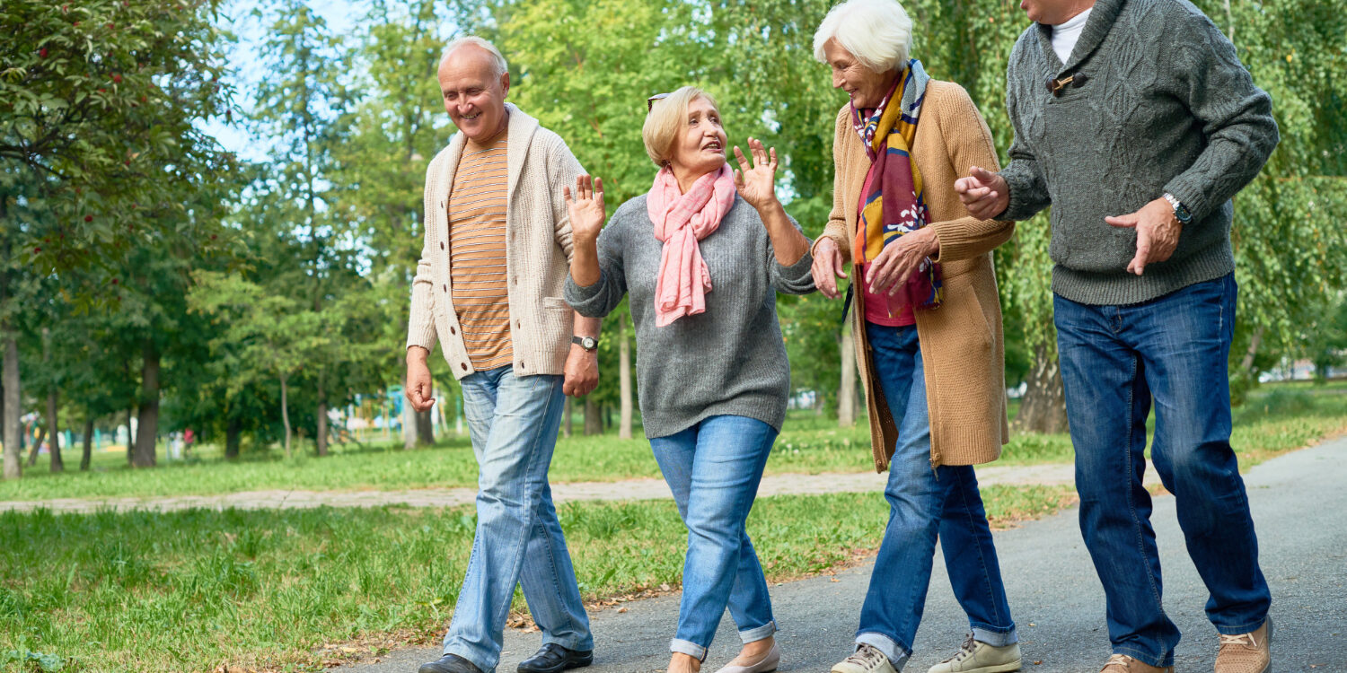 Groepje ouderen zijn aan het wandelen in het park voor hun mentale gezondheid